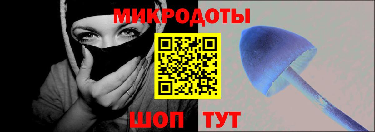 Дзержинский  Псилоцибиновые грибы мицелий  купить наркотик  Вход с VPN 